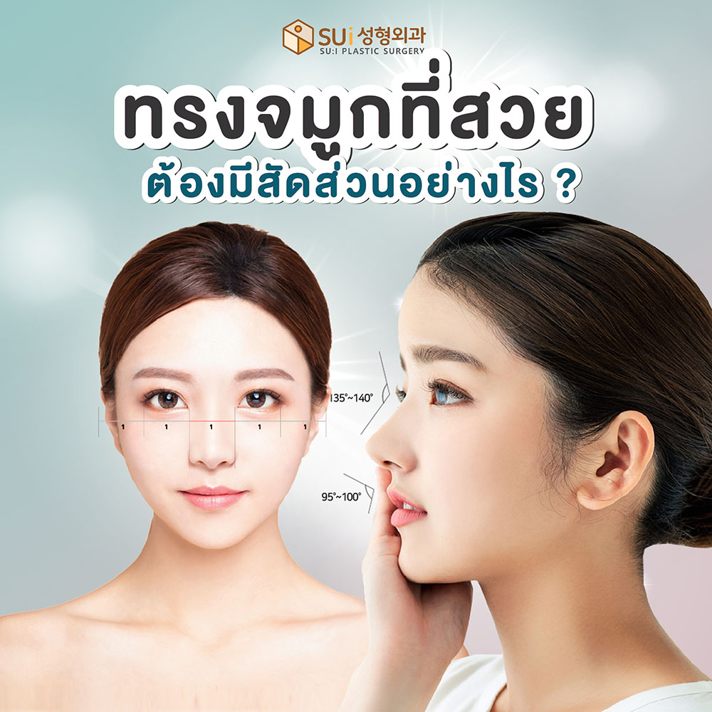 ทรงจมูกที่ดี มีสัดส่วนอย่างไร