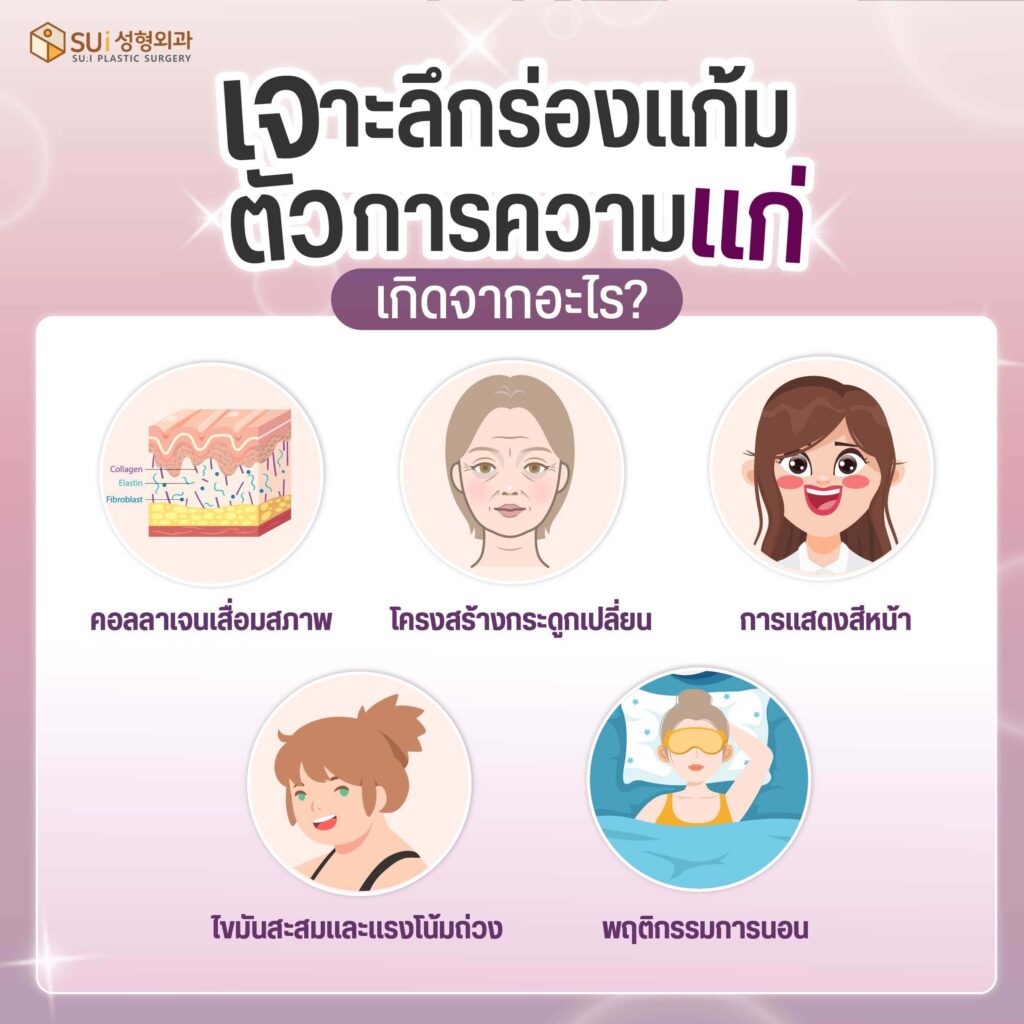 ความแก่และเหี่ยวลงของใบหน้าเกิดจากอะไร
